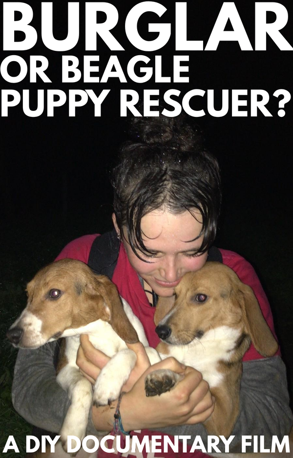 Picture for event Burglar or Beagle Puppy Rescuer?