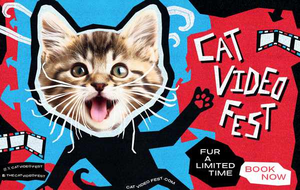 Picture for event Cat Video Fest