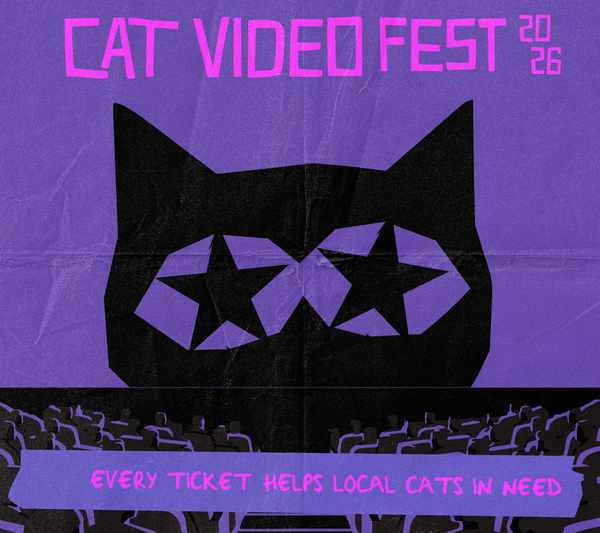 Picture for event Cat Video Fest 2026 (Catinée show)
