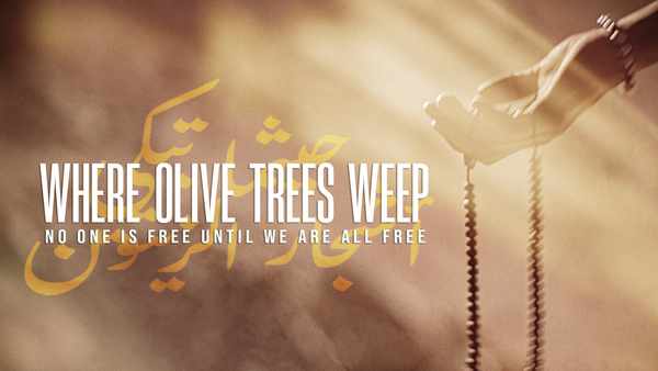 Picture for event Where Olive Trees Weep