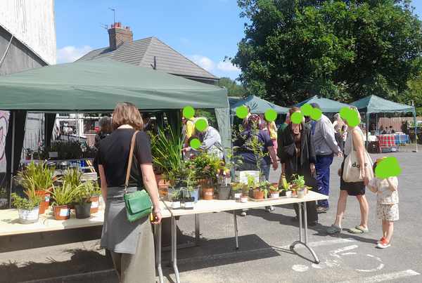 Picture for event PLANT SALE 11AM - 3PM